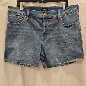 Express Blue Jean Shorts with Frayed Hem - EUC